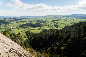 Naklejka premium A green landscape view of hills and forests in new Zealand. 
