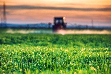 Fototapeta premium Farming tractor plowing and spraying on field