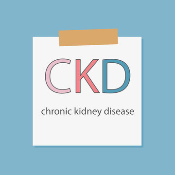 CKD (Chronic Kidney Disease) written in notebook paper- vector illustration