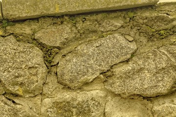 Autumn maple cobblestone close-up texture, stone surface