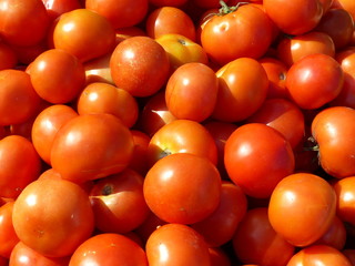 Markttag - Tomaten