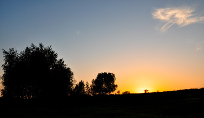 Fototapeta na wymiar Silhouettes of trees against the golden sunset sun