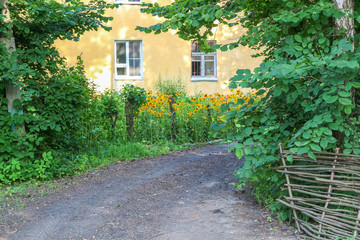 House in the city with a fence and flowers
