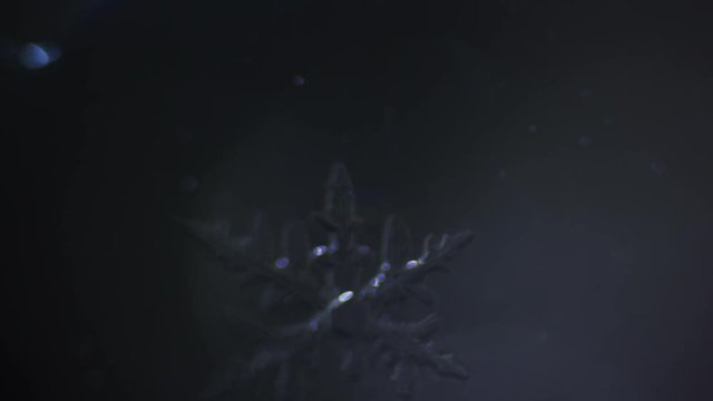 openwork transparent shiny snowflake melts