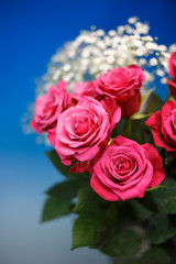 薔薇の花