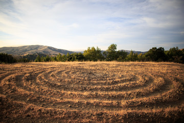 Mysterious circular pattern etched into the dry ground