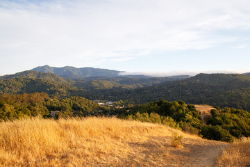 Naklejka premium Looking down on the small town of Fairfax in a sea of gold and green