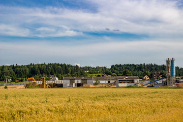 Farmer fields
