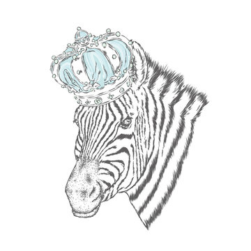 A zebra in the crown. Vector illustration.