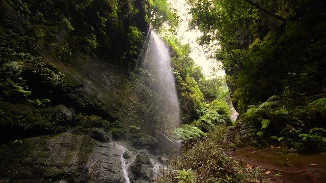 the Lindens waterfall, jungle scenery with giant ferns and big falling water, on the island of La Palma, Canary Islands, Spain.