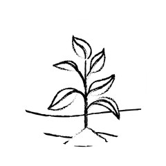 plant ecology leaves natural environment image vector illustration sketch