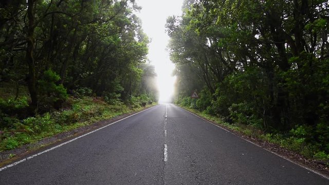Foggy road in Tropical forest of Garajonay national park, La Gomera, Canary islands, Spain.
