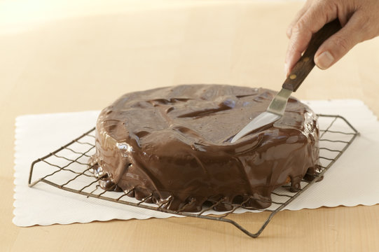 vanilla cake with chocolate icing