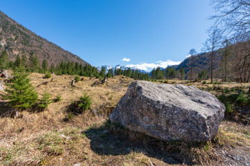 Felsen Waldlichtung mit toten Gebirge