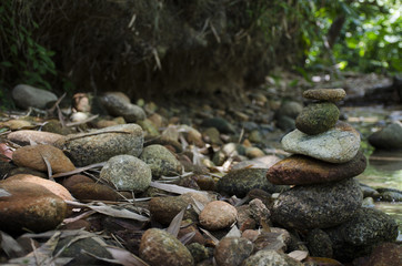 relaxing in river rain forest park 
