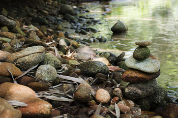 relaxing in river rain forest park 