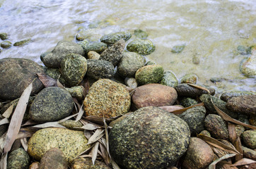 relaxing in river rain forest park 