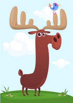 Funny cartoon moose standing on a meadow. Vector illustration isolated 