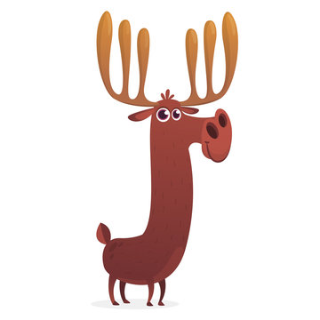 Cool cartoon moose character. Vector moose illustration isolated. 