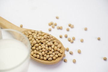 Soy bean in spoon