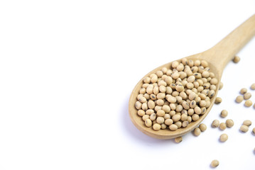 Soy bean in spoon