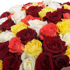 Bouquet of roses