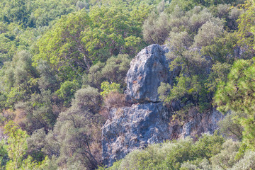 Pines on the mountainous shore of the Mediterranean Sea in the vicinity of Marmaris, Turkey