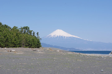 三保の松原と富士山