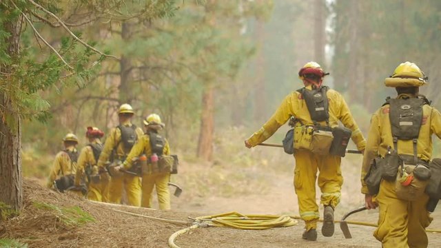 Hotshot Crew Hikes Along Fire Line Forest Fire