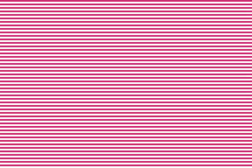 Pattern stripe seamless pink yarrow and white colors. Horizontal pattern stripe abstract background vector.