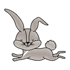 cute rabbit running easter celebration