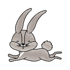 cute rabbit running easter celebration