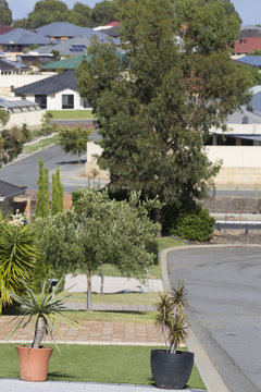 A Modern Suburban Scene, Australia.