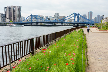 隅田川テラス