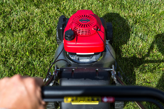 Picture with lawn mower