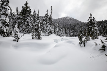 Beautiful snow covered Canadian Mountain Landscape during a cloudy day. Taken on Cypress Mountain, Vancouver, British Columbia, Canada.