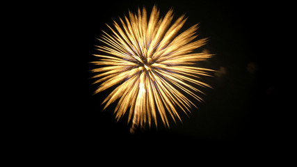 Fototapeta premium Fireworks over night sky background
