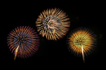Fireworks over night sky background