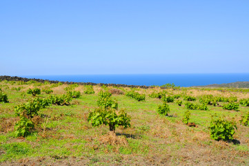 イタリア、シチリアのパンテッレリア島の風景