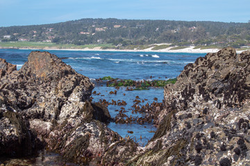 Big Sur California Coastline