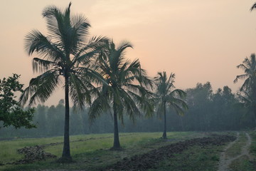 sunrise ride through belthur village