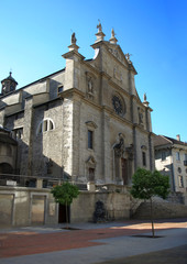 Fototapeta na wymiar Church Chiesa Colleggiata, St. Pietro e Stefano Bellinzona,ticino,switzerland,