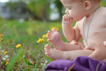 Baby eating flowers