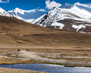 Barskoon (Arabel) Syrts at Issyk Kul Region