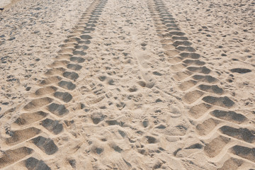Traces from tires on sand. Print of machine tires.