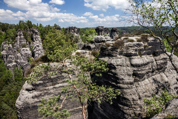 Rock landscape, Saxon Switzerland, Germany.