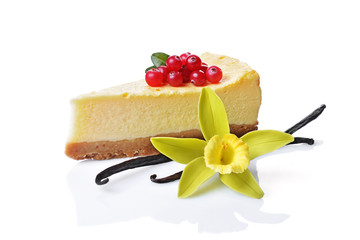 Close-up slice of delicious homemade cheesecake with fresh cranberries, vanilla pods and flower