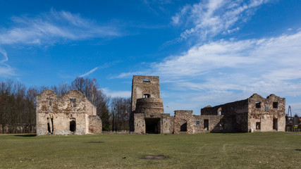 Fototapeta na wymiar Ruins of the smelter in Samsonow, Poland
