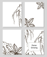templates with hand drawn Panax Ginseng.
