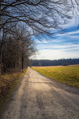 Fototapeta premium Beautiful nature landscape view in spring